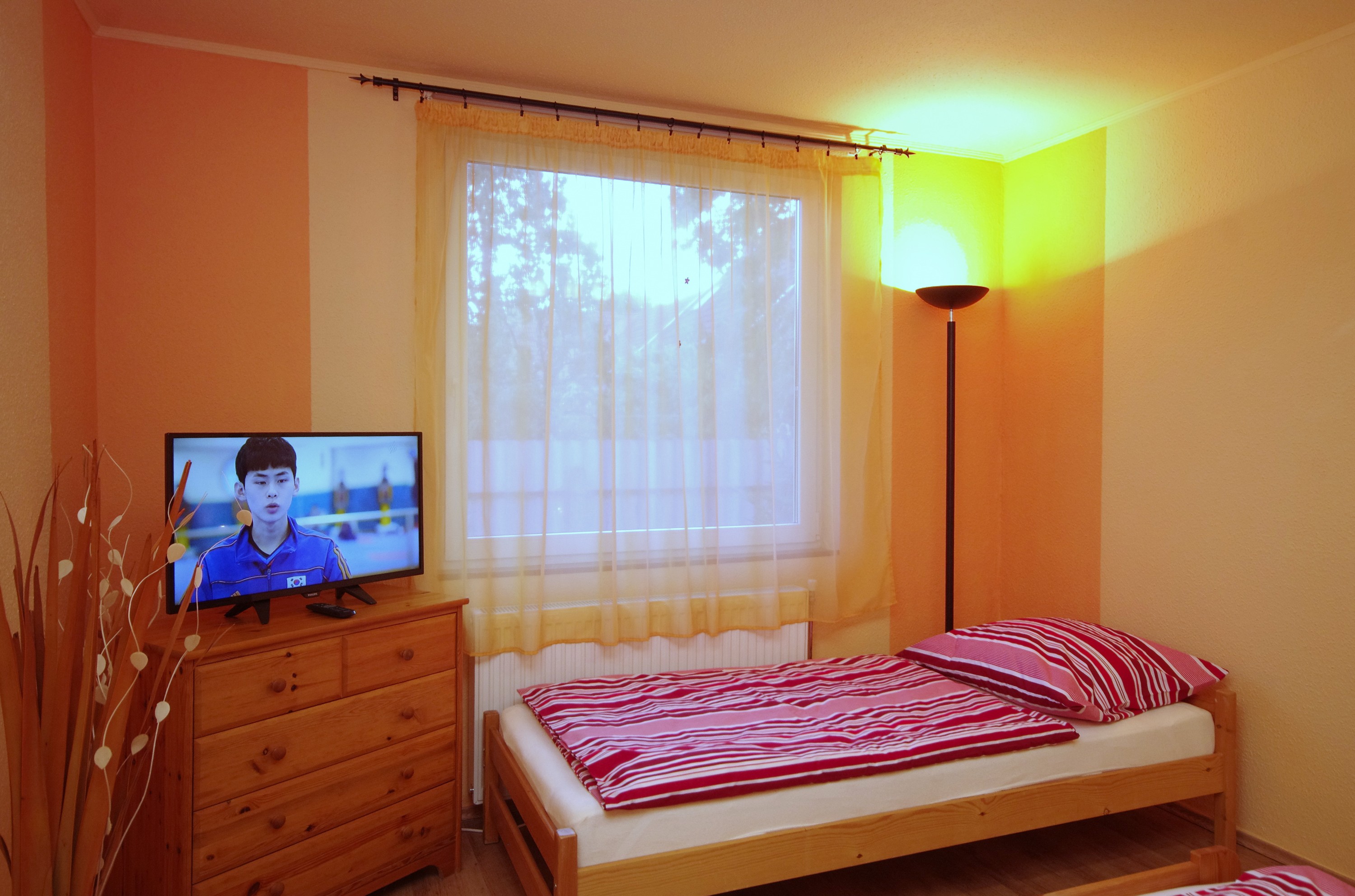 Egyszemélyes ágy és LED TV az őszi szobában a gyulai Bodza apartmanban